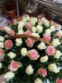 Купить цветы в СПб на складе.